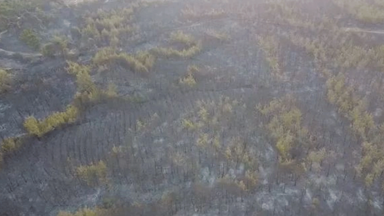 Foto - Orman yangınında evler kül oldu, Kur'an-ı Kerimler sapasağlam kaldı