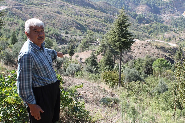 Foto - Orman yangınında küle dönmüştü! 2 yılda büyük değişim
