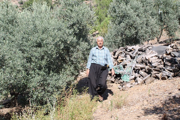 Foto - Orman yangınında küle dönmüştü! 2 yılda büyük değişim