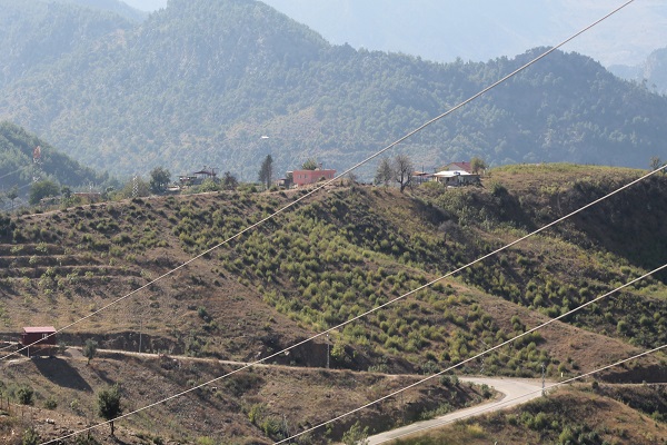 Foto - Orman yangınında küle dönmüştü! 2 yılda büyük değişim