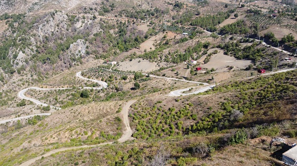 Foto - Orman yangınında küle dönmüştü! 2 yılda büyük değişim