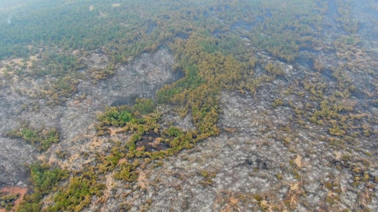 Foto - Orman yangınının bıraktığı acı tablo böyle görüntülendi