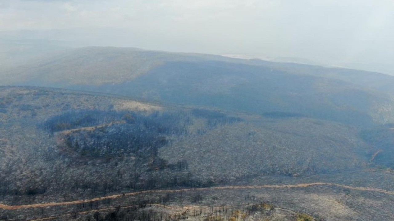 Foto - Orman yangınının bıraktığı acı tablo böyle görüntülendi