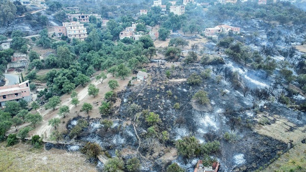 Foto - Orman yangınları can aldı