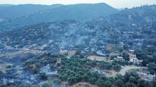 Foto - Orman yangınları can aldı