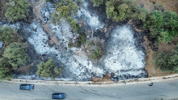 Foto - Orman yangınları can aldı