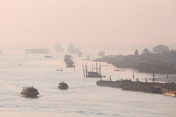 Orman yangınları kendi bu hale getirdi