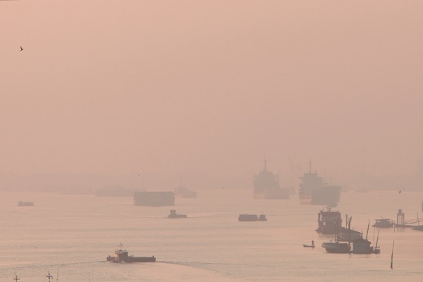 Foto - Orman yangınları kendi bu hale getirdi