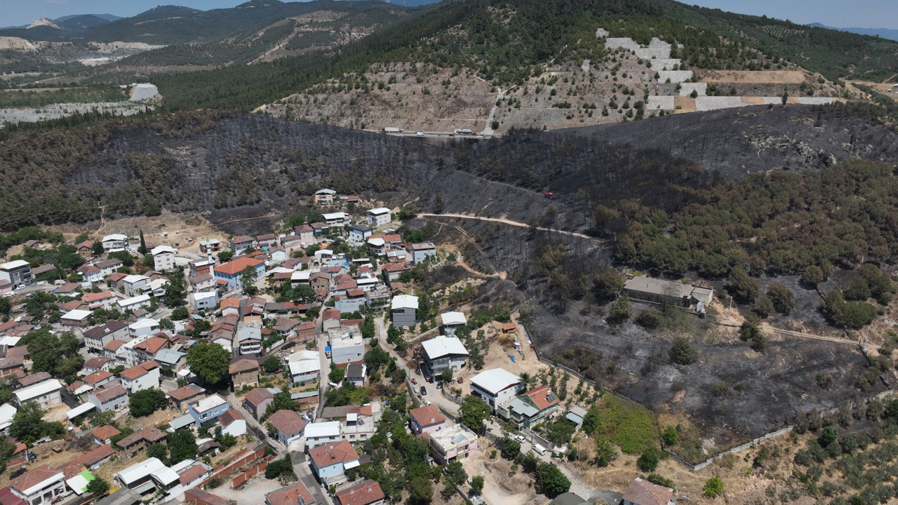 Foto - Orman yangınları yürekleri yaktı! Zümrüt yeşili Bursa ormanları bir günde siyaha büründü