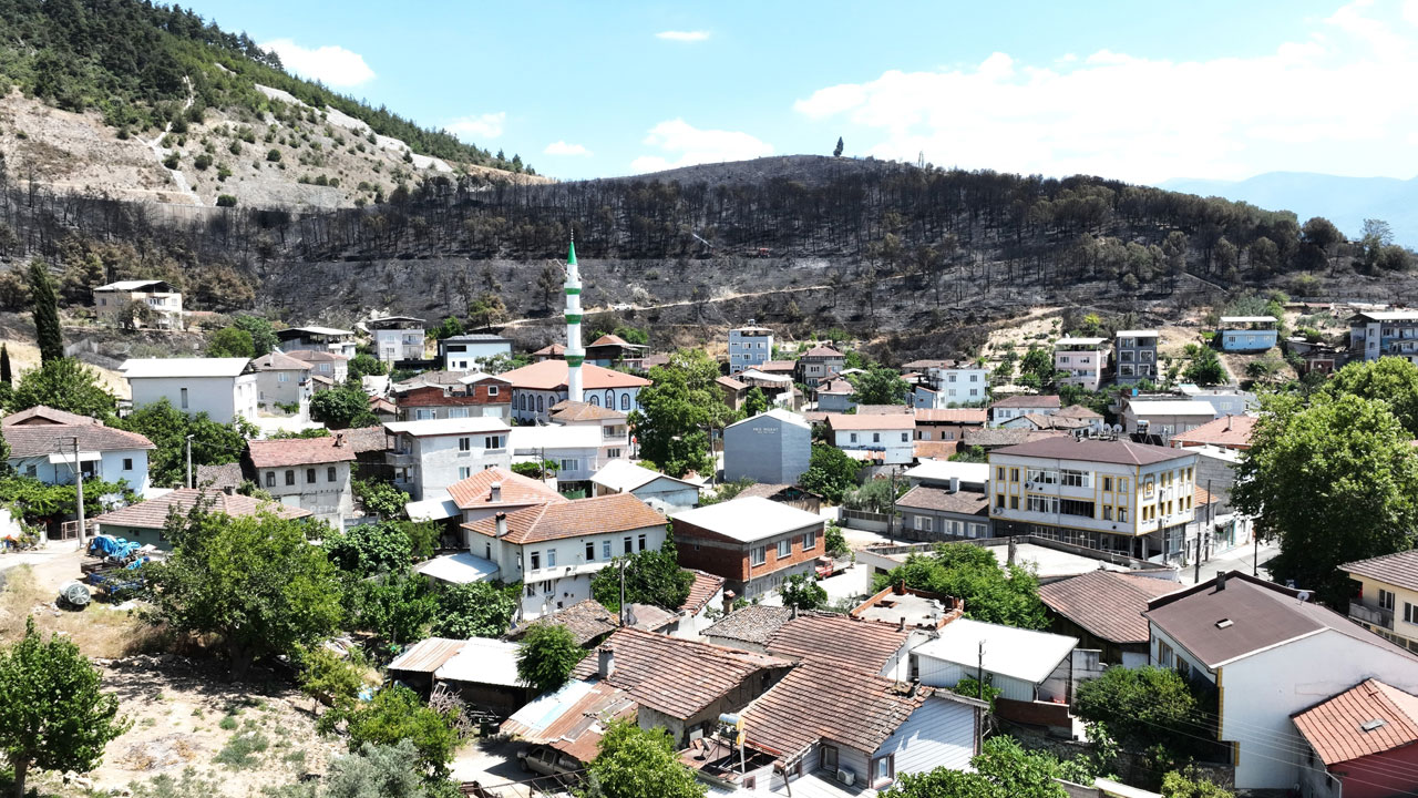 Orman yangınları yürekleri yaktı! Zümrüt yeşili Bursa ormanları bir günde siyaha büründü