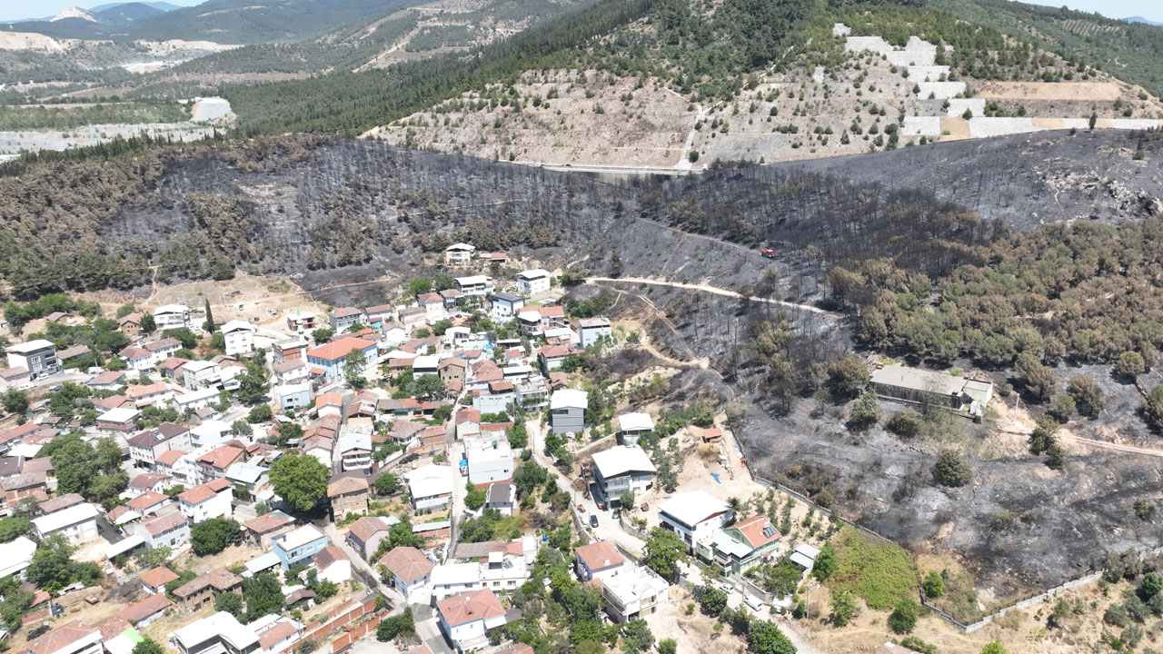Foto - Orman yangınları yürekleri yaktı! Zümrüt yeşili Bursa ormanları bir günde siyaha büründü