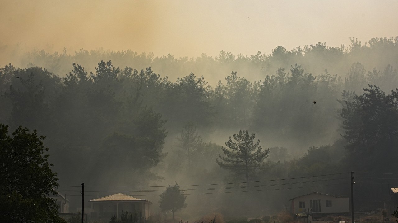 Foto - Orman yangınlarında son durum ne?