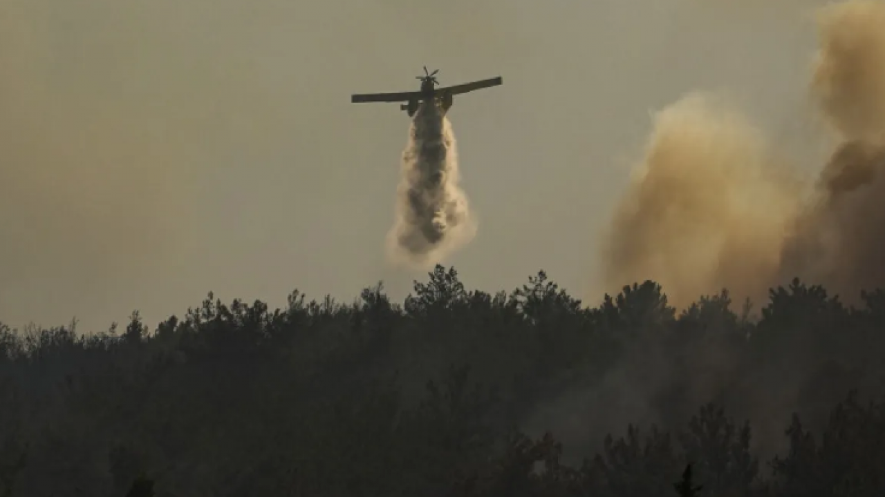 Foto - Orman yangınlarında son durum ne?