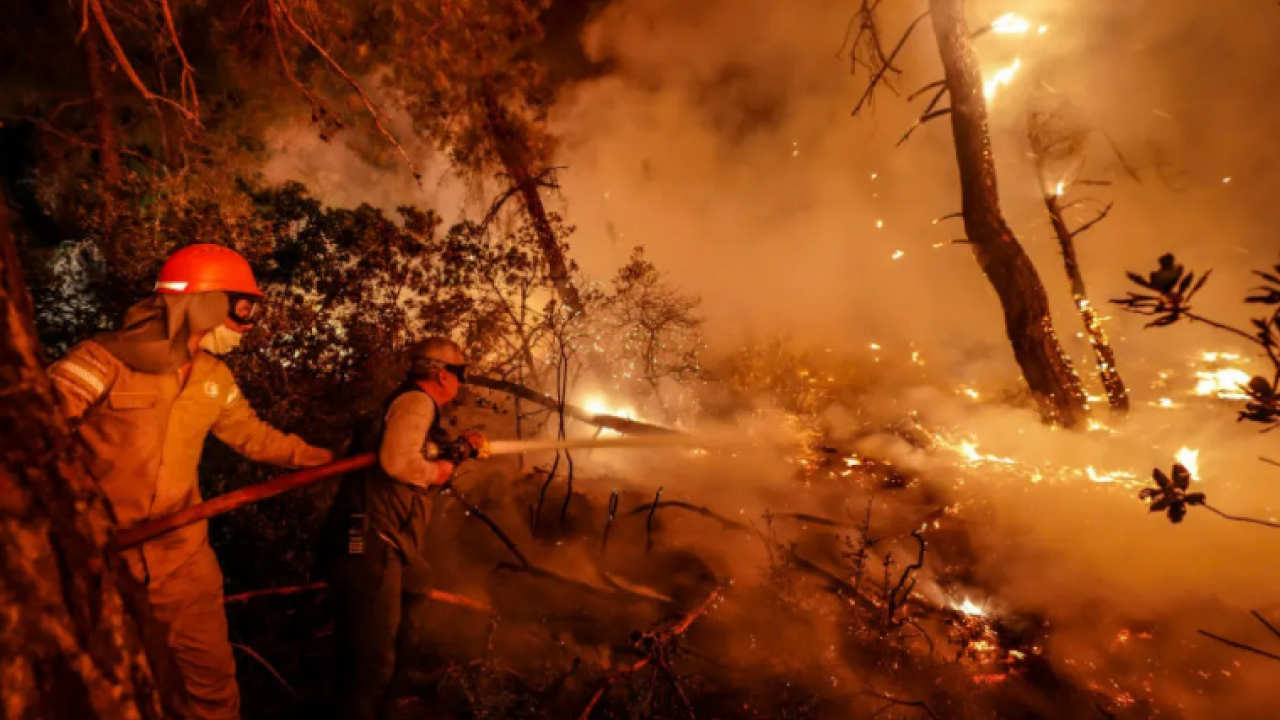 Foto - Orman yangınlarında son durum ne?