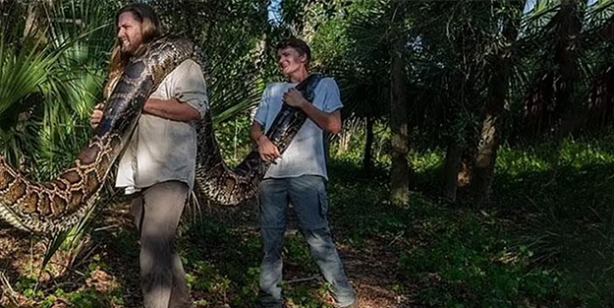 Ormana giden araştırmacılar şok oldu! Bunu beklemiyorlardı