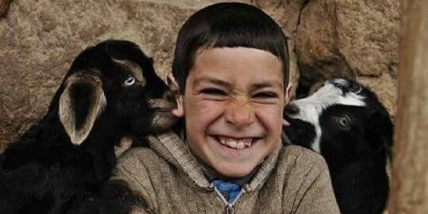 Foto - Ormana giden sakın ha sakın çıt çıkarmasın! Bütün hayvanlar bu tepkiyi veriyor! Araştırmacılar, "İnsanlardan daha fazla" diyerek o gerçeği duyurdu