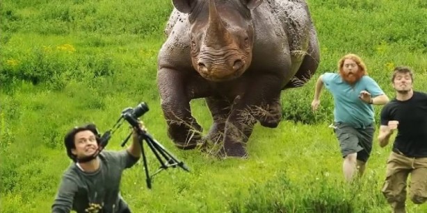 Ormana giden sakın ha sakın çıt çıkarmasın! Bütün hayvanlar bu tepkiyi veriyor! Araştırmacılar, "İnsanlardan daha fazla" diyerek o gerçeği duyurdu