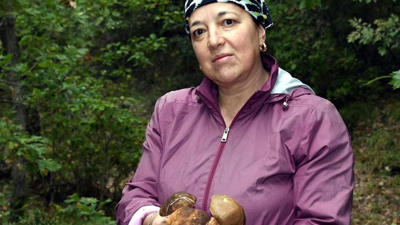 Foto - Ormana girip topluyorlar, Avrupa ülkelerine peynir ekmek gibi satıyorlar! Bir günde tam 7 bin 500 TL kazanıyorlar