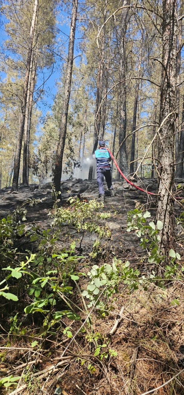 Foto - Ormancıya kızıp orman yakan çoban