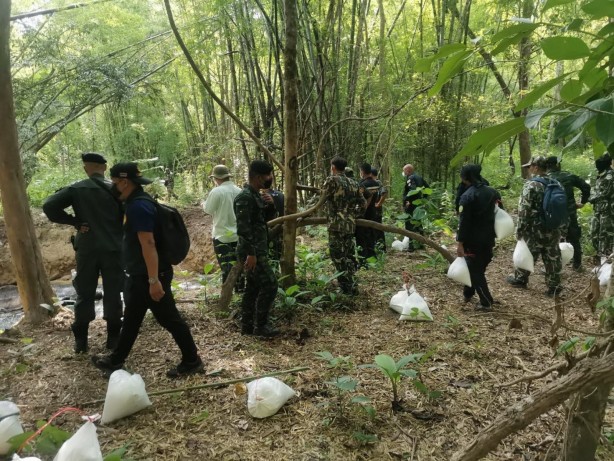 Foto - Ormanda bir çukurun içerisinde 5 ölü fil bulundu!