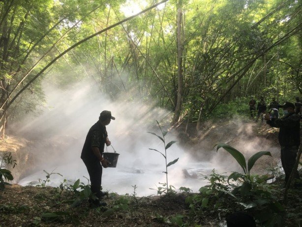Foto - Ormanda bir çukurun içerisinde 5 ölü fil bulundu!