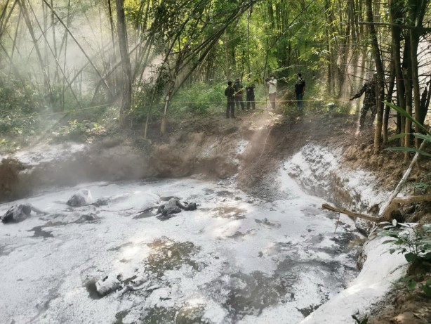 Foto - Ormanda bir çukurun içerisinde 5 ölü fil bulundu!