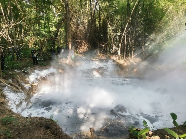 Foto - Ormanda bir çukurun içerisinde 5 ölü fil bulundu!
