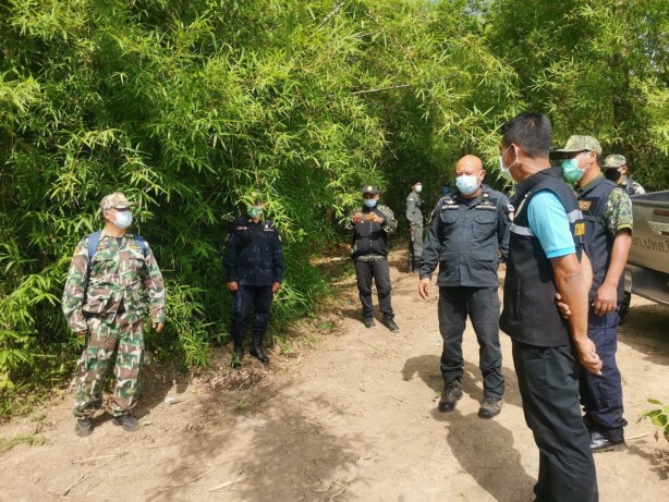 Foto - Ormanda bir çukurun içerisinde 5 ölü fil bulundu!