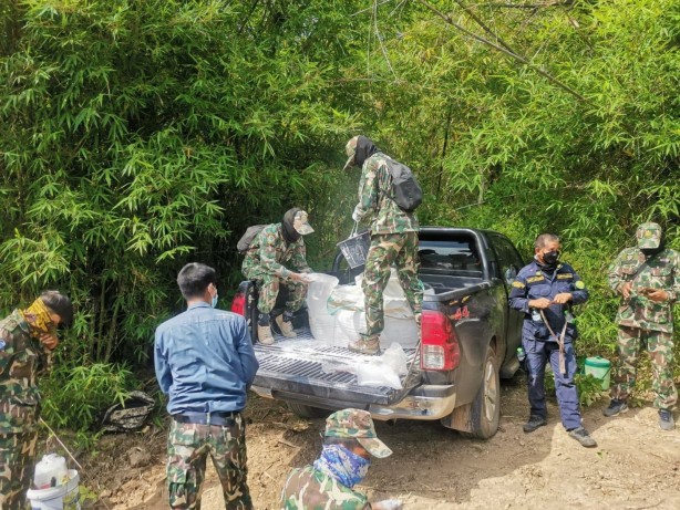 Foto - Ormanda bir çukurun içerisinde 5 ölü fil bulundu!