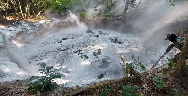 Foto - Ormanda bir çukurun içerisinde 5 ölü fil bulundu!