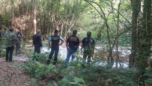 Foto - Ormanda bir çukurun içerisinde 5 ölü fil bulundu!