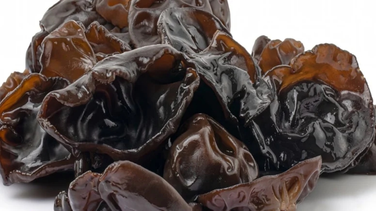 Ormanda bulundu, Türkiye’de satışı yasak! Kilosu küçük bir servet değerinde