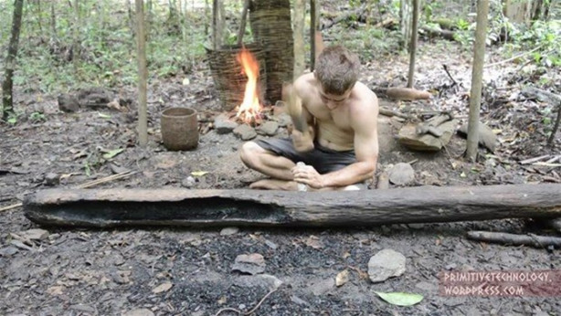 Foto - Ormanda ilginç bir deneyim