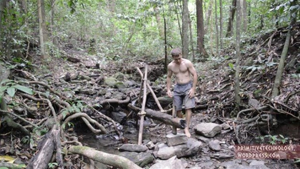 Foto - Ormanda ilginç bir deneyim