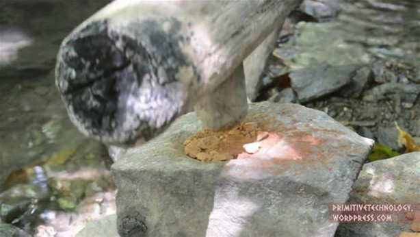 Foto - Ormanda ilginç bir deneyim