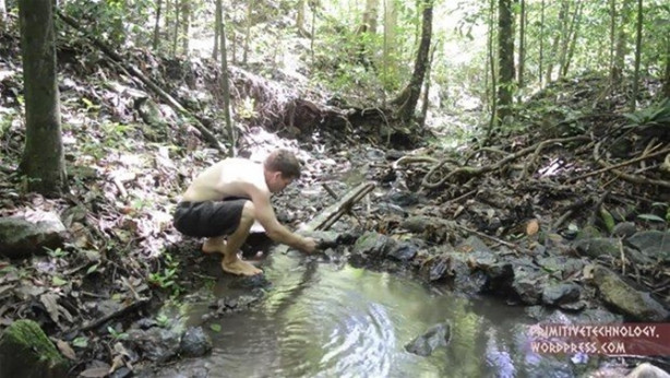 Foto - Ormanda ilginç bir deneyim