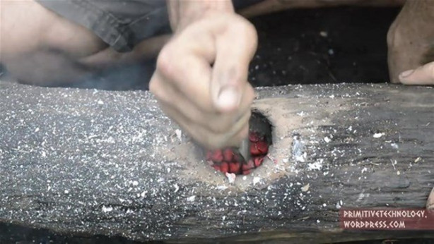 Foto - Ormanda ilginç bir deneyim