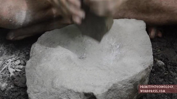 Foto - Ormanda ilginç bir deneyim