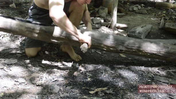 Foto - Ormanda ilginç bir deneyim