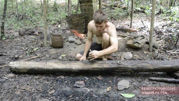 Foto - Ormanda ilginç bir deneyim