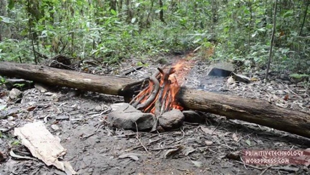 Foto - Ormanda ilginç bir deneyim