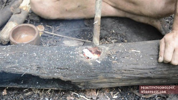 Foto - Ormanda ilginç bir deneyim