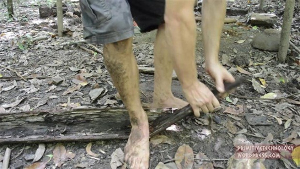 Foto - Ormanda ilginç bir deneyim