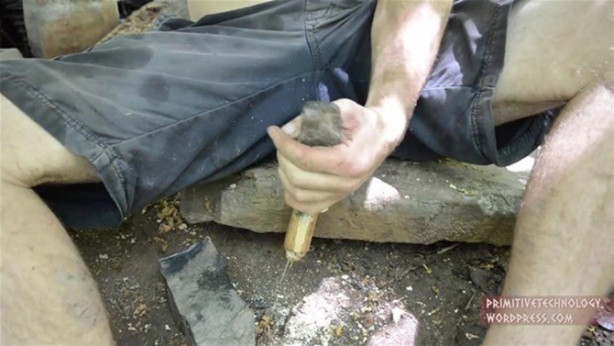 Foto - Ormanda ilginç bir deneyim