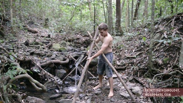 Foto - Ormanda ilginç bir deneyim