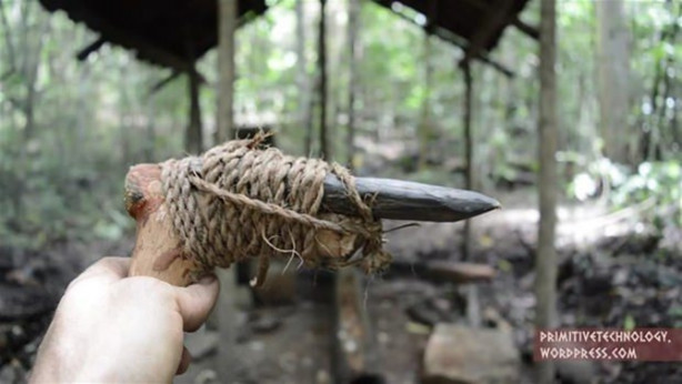 Foto - Ormanda ilginç bir deneyim