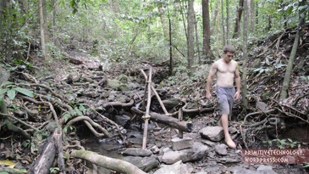 Foto - Ormanda ilginç bir deneyim