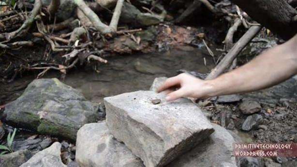 Foto - Ormanda ilginç bir deneyim