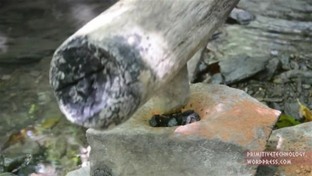 Foto - Ormanda ilginç bir deneyim