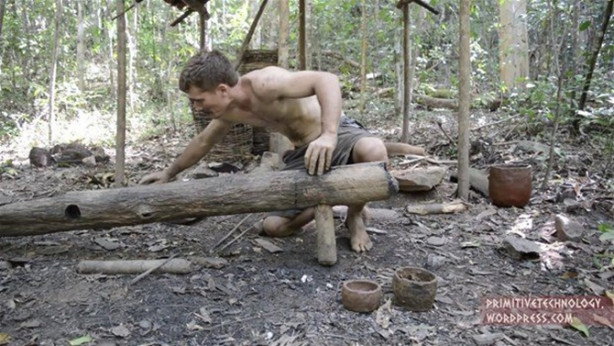 Foto - Ormanda ilginç bir deneyim